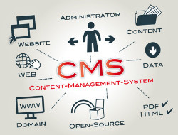 Content-Management-System - Aufgabenmatrix